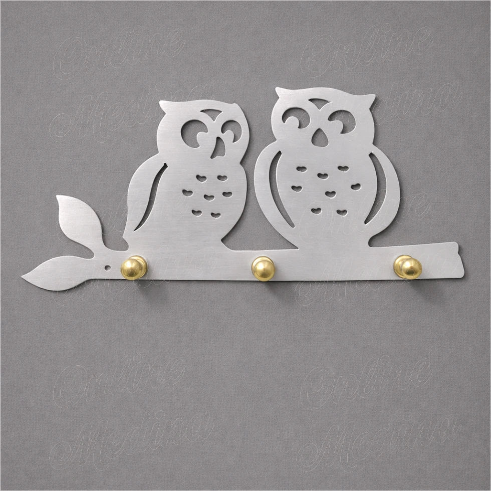 Galvanized silver owl wall key holder with brass knobs