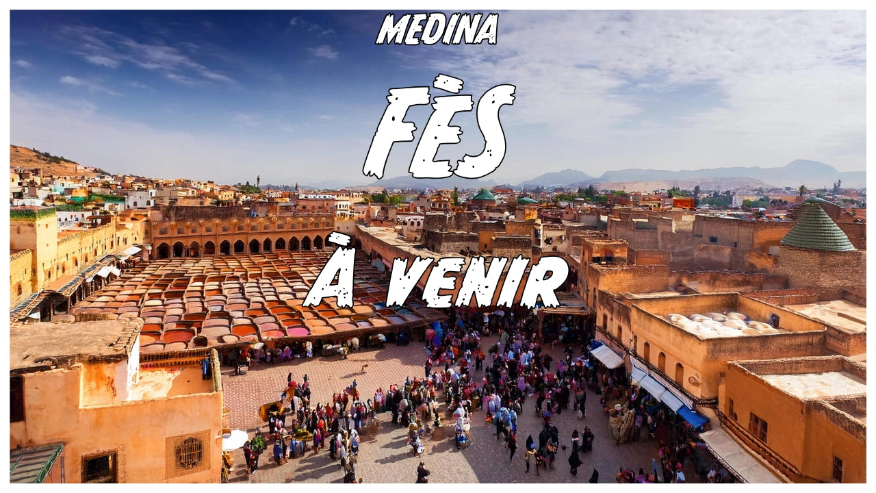 Médina de Fès à venir – vue aérienne du marché traditionnel marocain avec ses tanneries emblématiques et ruelles animées, future destination sur Online Medina.