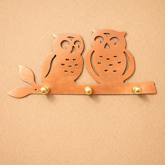 Copper owl wall key holder with brass mounting knobs